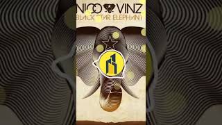 Am I Wrong - Nico & Vinz (Siqu Remix) @LscMusic24 #SHORT