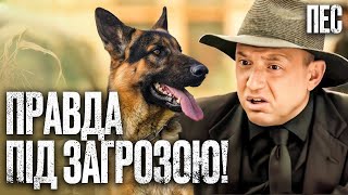 Найкращий детектив на вечір! Пес вийшов на слід бандитів! | СЕРІАЛ ПЕС | ДЕТЕКТИВНІ СЕРІАЛИ 2025