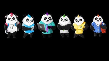 Punk Panda Token & App Short Explanation