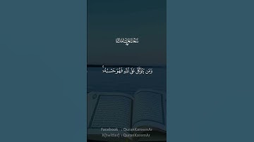 تلاوه خاشعه سعد الغامدي #قران #سعد_الغامدي  #quran #قران_كريم #تلاوة_خاشعة #اكسبلور