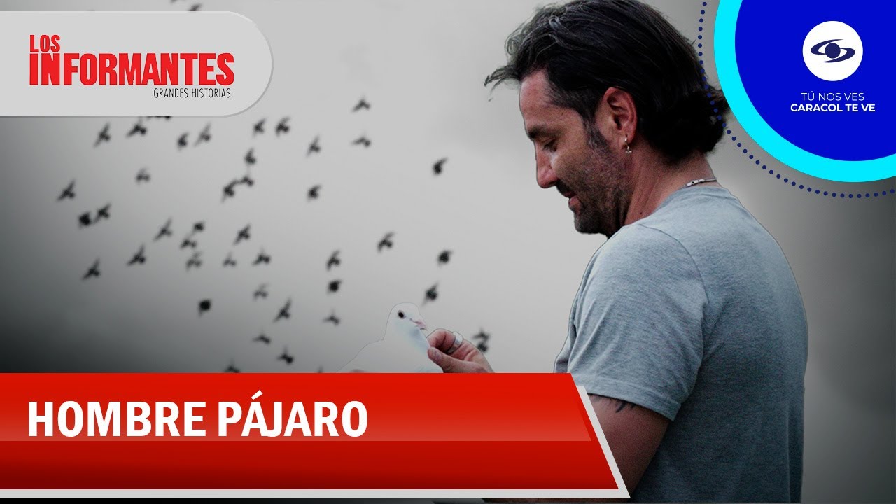 El Hombre Pájaro: la pasión de entrenar palomas de carreras en Colombia - Los Informantes