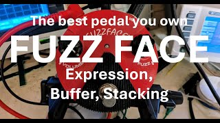 Fuzz Face - Expression Pedals, Buffers and Gain Stacking - Everything you need to know!
