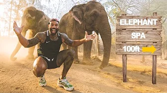 Private Tour of an Indian Billionaires Elephant Sanctuary Vantara (emotional)