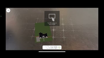 How to Navigate Chief