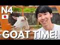 A Summer Weekend in Japan 🐐 | Easy Japanese Listening | N4