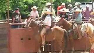Mexican Rodeo