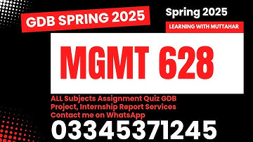 Mgmt628 GDb solution spring 2025