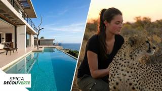 South Africa: The incredible gamble between LUXURY and WILD NATURE