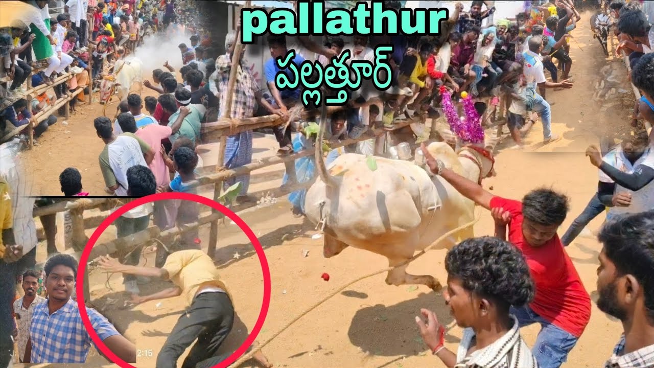 Pallathur 🔥పల్లత్తూర్ 💥12/02/2026🔥