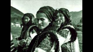 Світит місяц