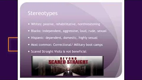 Juvenile Justice System:Diversity