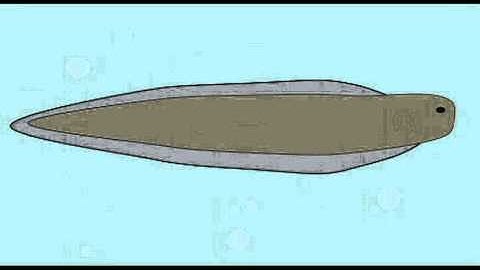 PL1: FOSSIL JAWLESS FISH: Myllokunmingia