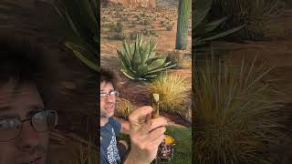 How. To Paint Grass Clumps
demonstration of a technique for painting grass clumps in a wall mural. How. To Paint Grass Clumps