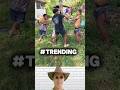 Try not to laugh challenge 02 #shorts #trending