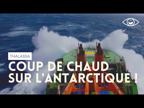 Coup de chaud sur l'Antarctique !