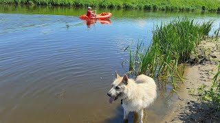 Хромой Бася на курорте