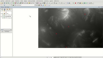Utilidades del capturador de coordenadas en gvSIG
