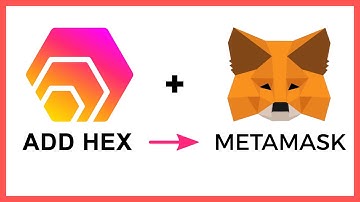 How to Add Hex Token to MetaMask