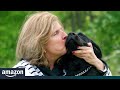 Guide dogs get to know a new voice: Alexa Guide dogs get to know a new voice: Alexa