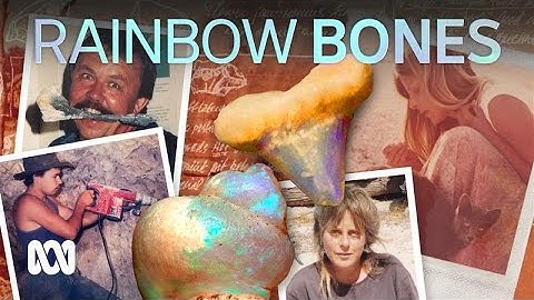 Opalised fossils hide in private collections. These palaeontologists rescue them 🦴🌈 | ABC Australia
