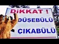 DİKKAT ! TAŞ DÜŞEBÜLÜ AYI ÇIKABÜLÜÜ