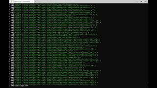 Installing Amber 20 serial version