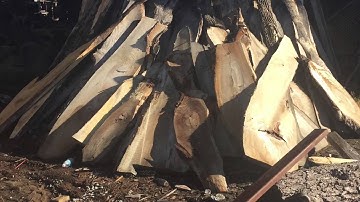 School bus conversion episode #9