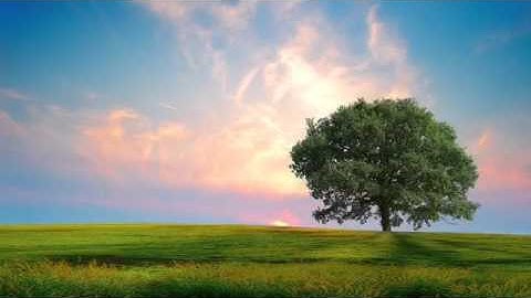 سورة الشرح - Surat Al Sharh