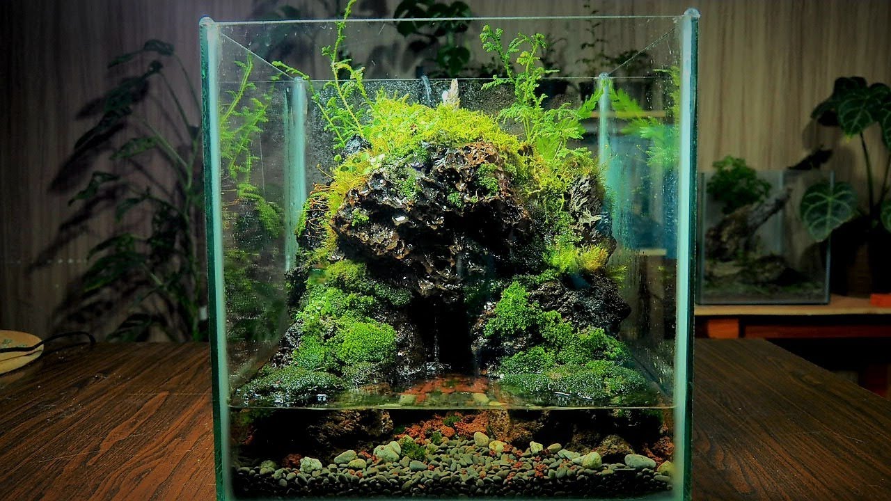 Realistic Waterfall Terrarium Making YouTube