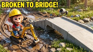 Monkey Nana Builds! Excavator from Muddy Area to Strong Concrete Bridge