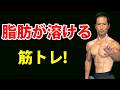 筋肉つけるだけじゃない!50代がやるべき脂肪が溶ける成長ホルモントトレーニング