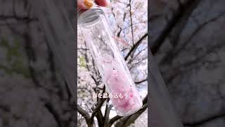 【2歳児】ぽかぽか春を感じよう！楽しい4月の製作アイデア集