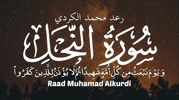 رعد محمد الکردي (سورة النحل)  وَيَوْمَ نَبْعَثُ مِن كُلِّ أُمَّةٍ شَهِيدًا ♥️