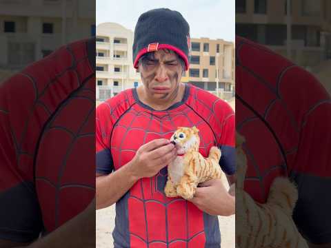 القطة الجعانة 