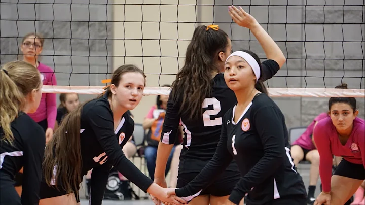 A VOLLEYBALL JOURNEY - FROM START TO FINISH - OLIV...