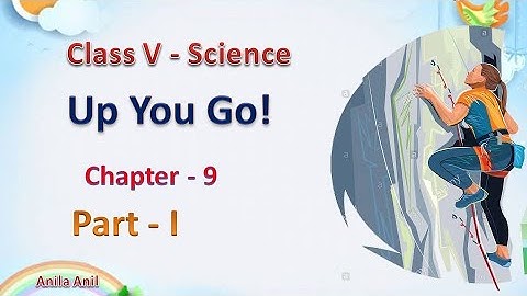 Class V EVS  Up you Go