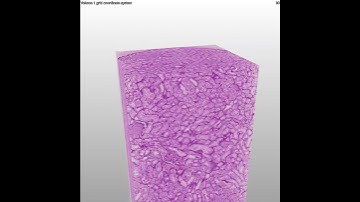 High-throughput tomography on PETRA III