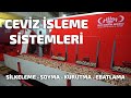 Ceviz Hasadı Sonrası Ceviz İşleme Sistemleri