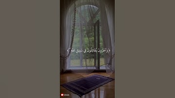 {علم أن سيكون منكم مرضى} تلاوة هادئة 💚🎧للقارئ عبدالرحمن مسعد من سورة [ المزمل] #تلاوة_خاشعة #تلاوات