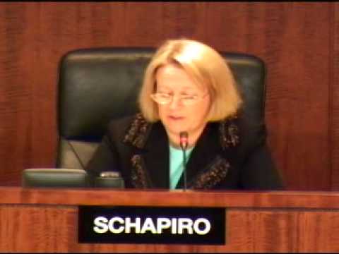 Chairman Schapiro's Statement on Protecting Client...