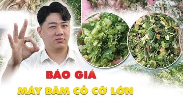 Báo Giá Máy Băm Cỏ Cỡ Lớn - Năng Suất Cao, Đáp Ứng Mọi Quy Mô Trang Trại