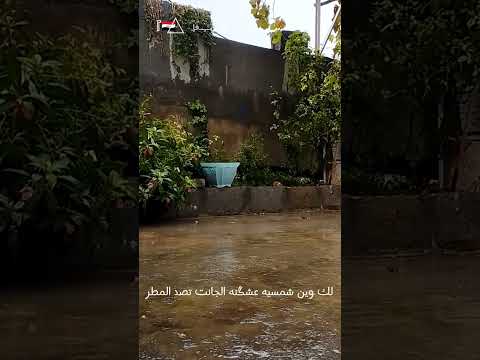 جاي تمطر وين صوتك ذاك اليعوض السفر استوريات أشعار اشتراك