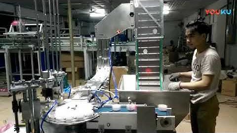 Automatic rotary dual head cap wadding lining machine