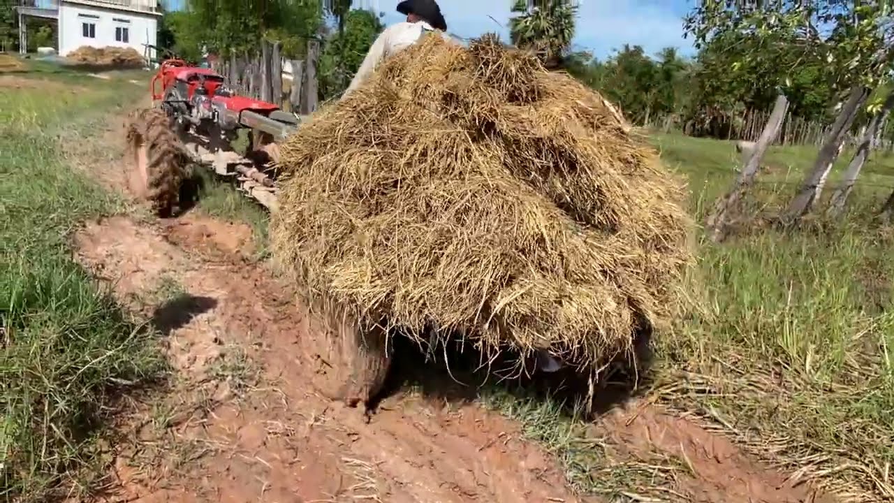 Amazing Driver Bulldozer