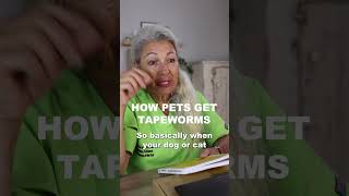 How Dog & Cats Get Tapeworms