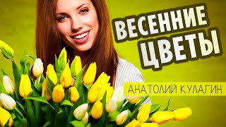 Интересная песня шансон! | Весенние цветы - Анатолий Кулагин