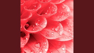 Scintillating Backdrops for Calming Cool