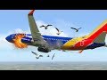 Planes Hit Birds And Make Emergency Landing | X-Plane 11