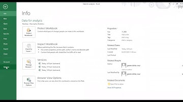 Descriptive Statistics Using MS Excel Data Analysis ToolPak