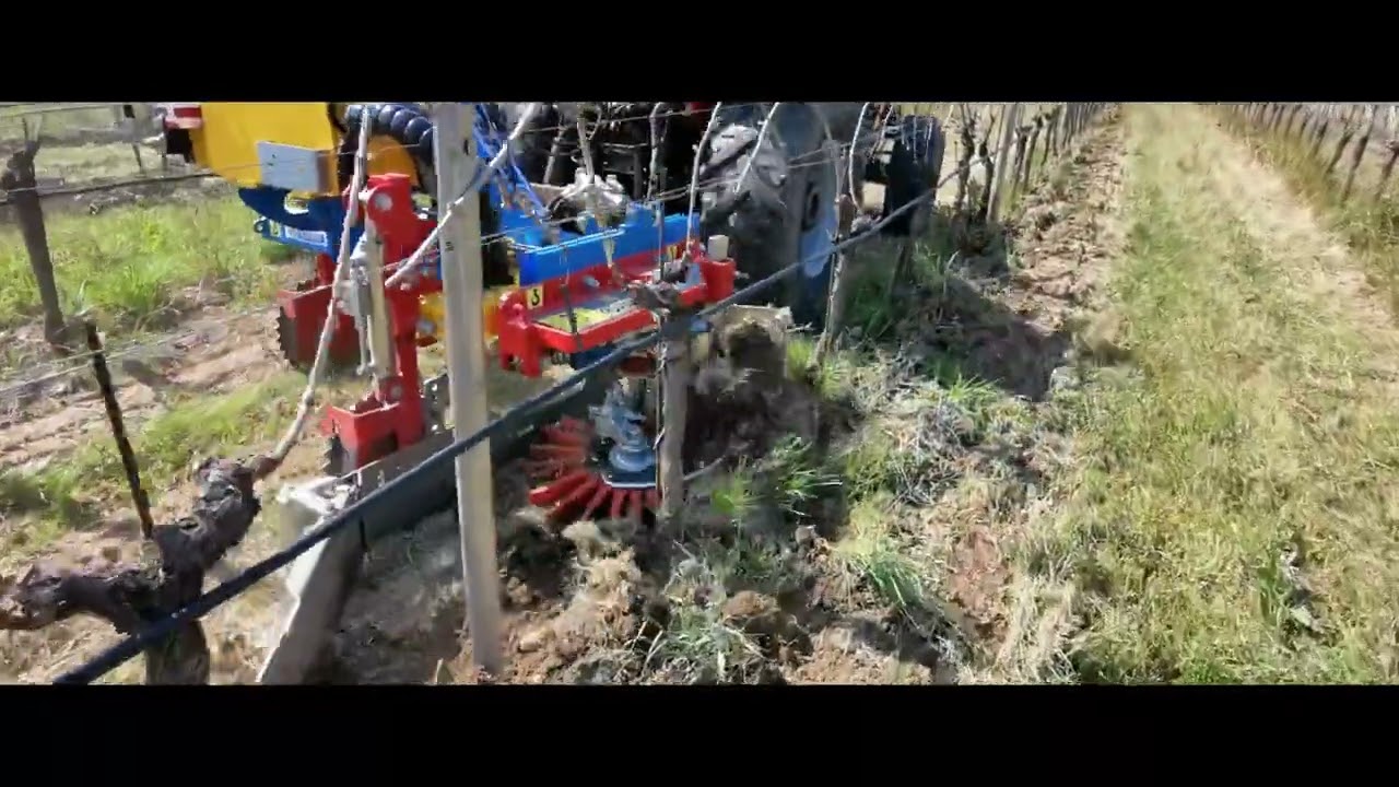 Stella a dita interfilare con tastatore + Stella sarchiatrice